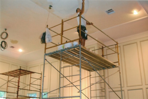 hanging ceiling wallpaper tampa